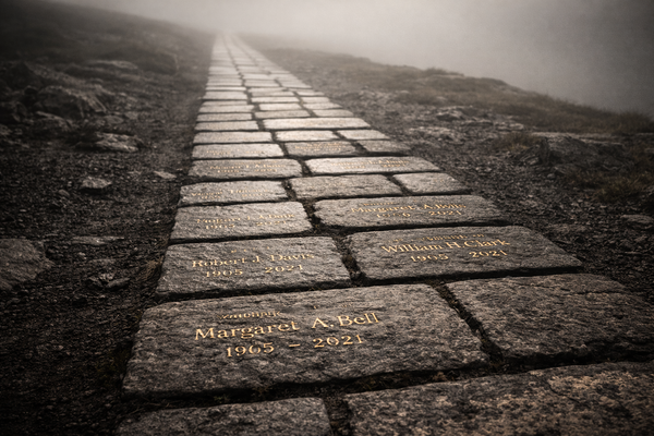 Presence Without Record Is Disappearance by Default